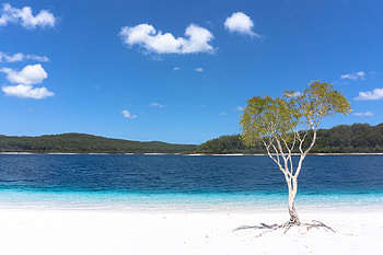 Fraser Island hiking, Visit Fraser Coast, Travels, Fraser Island HD wallpaper