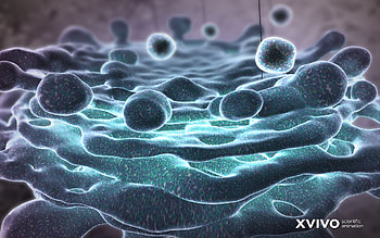Golgi Apparatus HD wallpaper