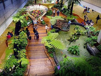 Singapore Changi International Airport, Best in the World HD wallpaper