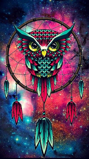 Owl Dreamcatcher, feather, owl, colorful, artistic, dreamcatcher HD phone wallpaper