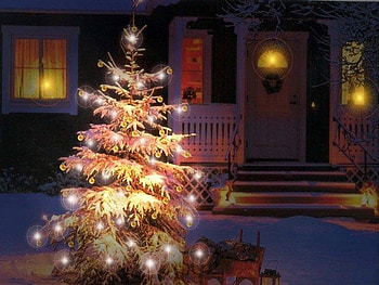 Xmas tree, winter, holiday, light, snow, christmas, tree HD wallpaper