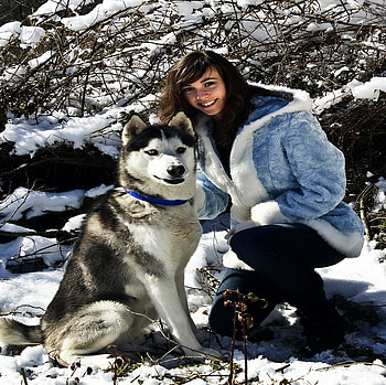 TRUE FRIEND: ALASKA MALAMUT, dog, snow, friedship, friend, woman, beauty HD wallpaper