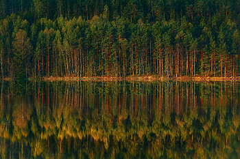 Landscape, Nature, Trees, Lake, Reflection, Shore, Bank, Forest HD wallpaper