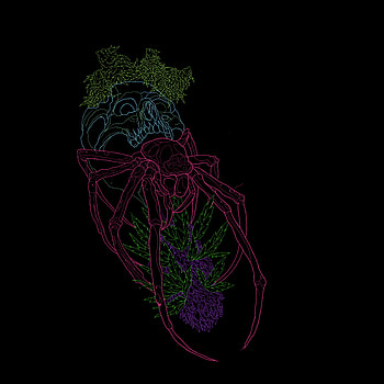 Spiderweed, neon, spider HD phone wallpaper