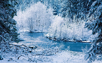 Landscape, Winter, Nature, Rivers, Trees, Snow HD wallpaper