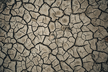 Texture, Textures, Land, Earth, Dry, Cracks, Crack HD wallpaper