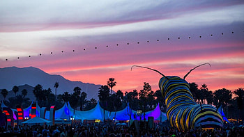 Coachella Music, Best , Cute , Festival HD wallpaper
