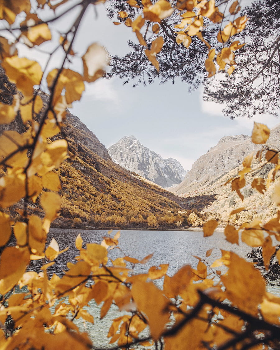 Beautiful autumn scene with vibrant leaves framing a serene mountain lake in Russia. HD phone wallpaper