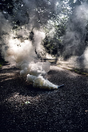 Ethereal smoke forming over a shaded forest pathway, creating a surreal atmosphere. HD phone wallpaper