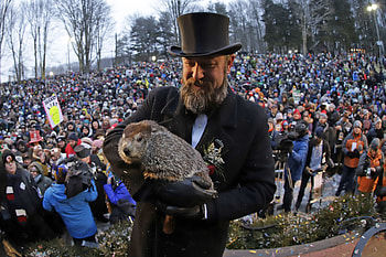 Virtual options, Pennsylvania tourism office, Groundhog Day celebrations, Fox8 WGHp HD wallpaper