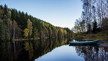 River Reflection, river, boat, reflection, forest HD wallpaper