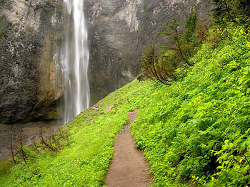 Beautiful Waterfall, path, green, waterfall, nature, grass HD wallpaper