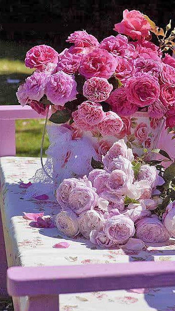 Pink Roses, Flowers HD phone wallpaper
