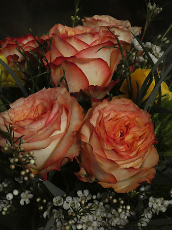 Bouquet, flowers, rose, wild, white flowers HD phone wallpaper