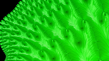 Trippy Psychedelic Fractal, green, Abstract, fractal, abstract green, abstract black HD wallpaper