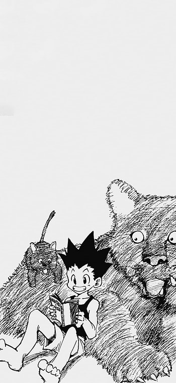 HxH, manga, anime HD phone wallpaper