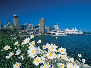 Plants, Landscape, Cities, Flowers HD wallpaper