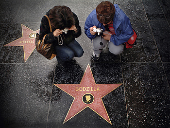 Terrazzo marvel, Historic mosaics, Walk of fame pavement, Celebrity commemoration HD wallpaper
