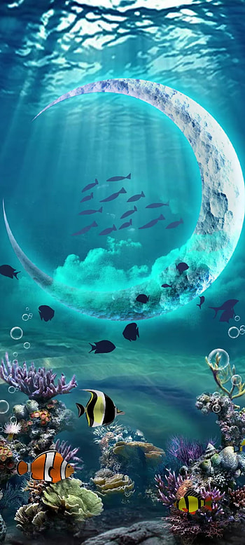 Moon in the Sea, beautiful, blue water, green, water resources, Fish HD phone wallpaper