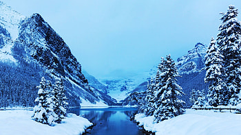 Lake Louise, Banff NP, Alberta, mountains, snow, winter, landscape, trees, canada HD wallpaper