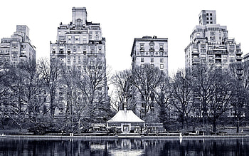 Cities, New York, Central Park, Garden Street HD wallpaper