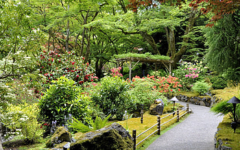 Nature, Trees, Lights, Lanterns, Vegetation, Garden, Track, Shed, Variety, Diversity, Canopy, Abundance HD wallpaper