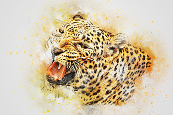 Animals, Art, Leopard, Predator HD wallpaper