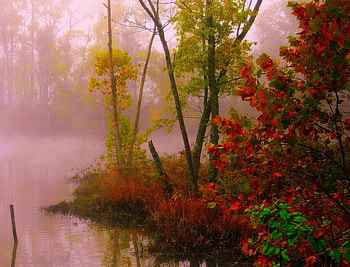 Autumn, colors, of, red HD wallpaper