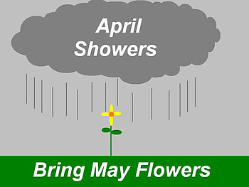 April Showers, grass, rain, cloud, flower HD wallpaper