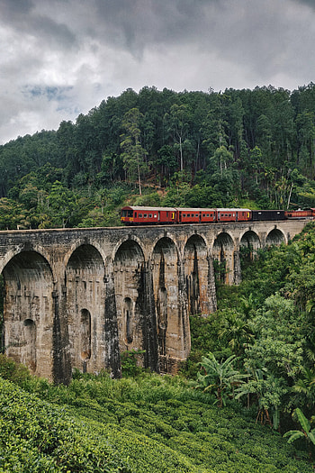 Nature, Miscellanea, Miscellaneous, Forest, Bridge, Train HD phone wallpaper