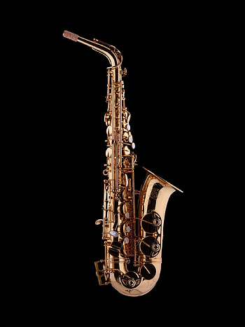 Saxo, Woodwind, Schagerl woodwind, Music instrument HD phone wallpaper