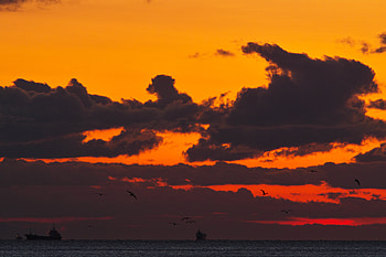 Birds, Sunset, Sea, Clouds, Dark, Ship HD wallpaper
