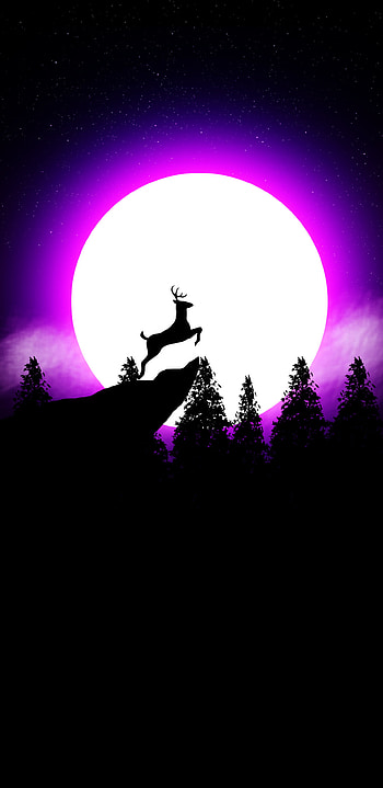 night in the forest, deer, sky HD phone wallpaper