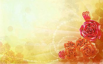 Chinese Rose, roses, bead design, rose bud, chinese, flowers HD wallpaper
