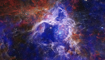 The Tarantula Nebula - 30 Doradus or NGC 2070, James Webb Space Telescope, Sci Fi, nebula HD wallpaper