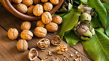 Walnuts, , Walnut backgrounds, beautification HD wallpaper