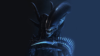 Alien, space, horror, movie HD wallpaper