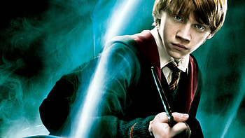 Harry Potter, , Background , The Order of the Phoenix HD wallpaper