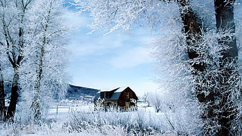 Animated Snow Falling HD wallpaper