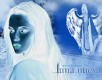 The Dark Love, angel, romance, dark, love HD wallpaper