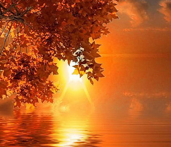 Autumn Sunset, reflection, trees, autumn, nature, sunset HD wallpaper