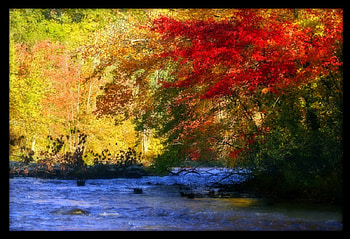 River in the wonderland, nature, rivers HD wallpaper