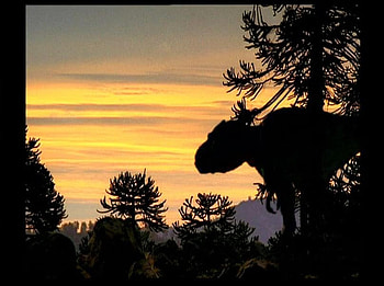 THE TREX SEE HER SAD END, oh boy, time to die HD wallpaper