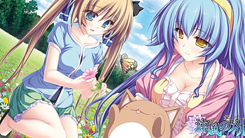 Anime girls, flower field, Cat, Girls, anime HD wallpaper