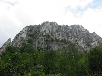 Balkan, green, bulgaria, trees, rock, mountain HD wallpaper