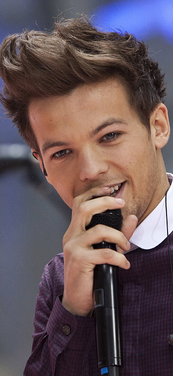 Louis Tomlinson, Music artist, Expert knowledge HD phone wallpaper