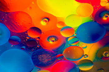 Colorful abstract artwork featuring vibrant bubbles of oil immersed in water, showcasing dynamic color patterns. HD wallpaper