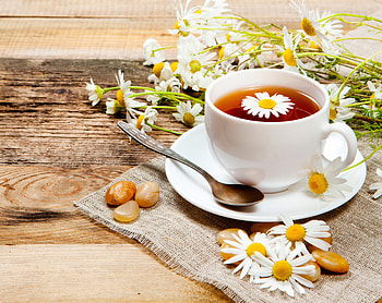 Camomile Tea, tea, flower, camomile, spoon, cup HD wallpaper