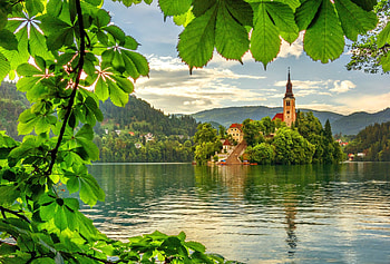 Lake Bled, island, nice, reflection, greenery, castle, water, beautiful, tree, lake, summer, Bled, green, branches, view, nature, lovely, Slovenia HD wallpaper