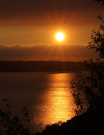 Nature, Sunset, Sun, Twilight, Lake, Rays, Beams, Dusk HD phone wallpaper